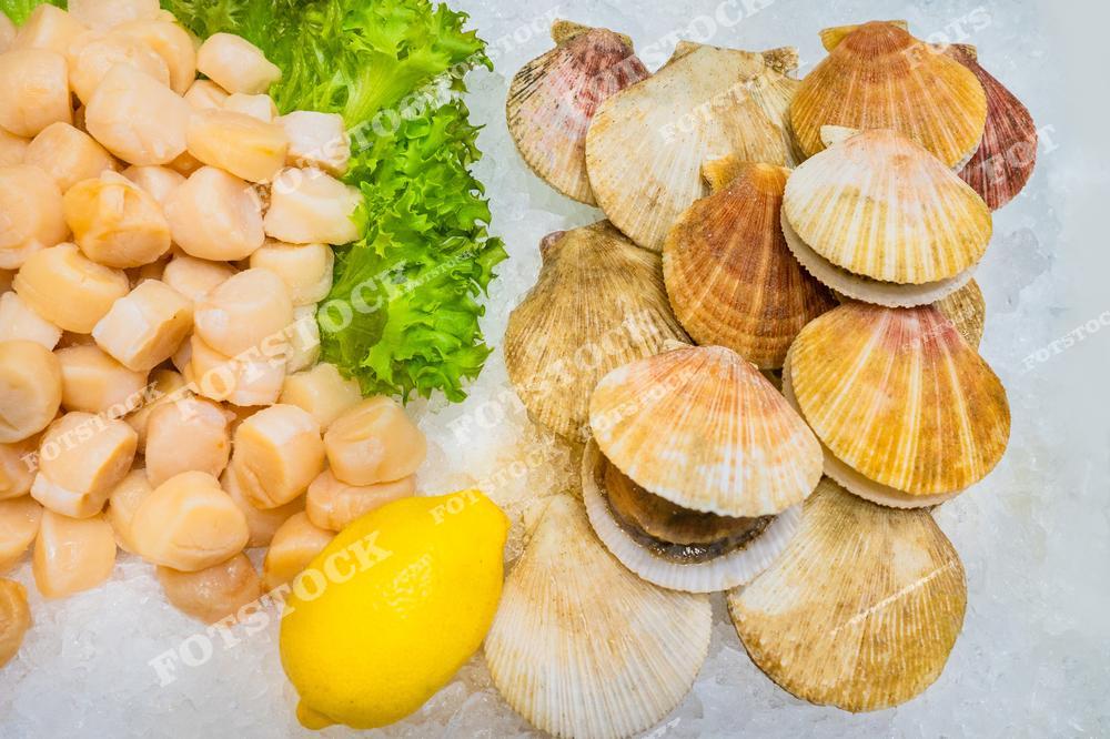 На фотографии представлены морские гребешки, их ракушки, лист салата и лимон, выложенные на ледяной поверхности. Свежесть продуктов подчёркивает их высокое качество и аппетитный вид. Это идеальные ингредиенты для изысканных морских блюд.
